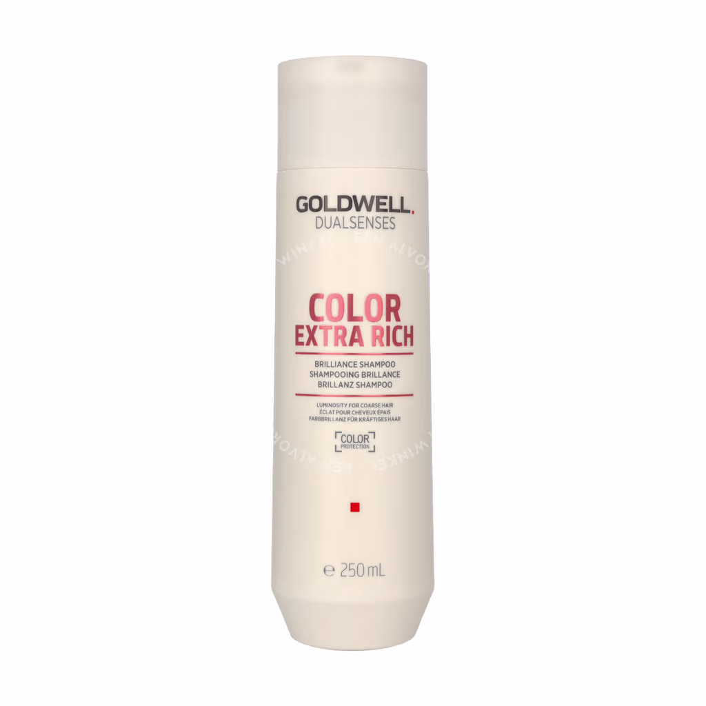 Goldwell Goldwell Dualsenses Color Extra Rich Brilliance Shampoo