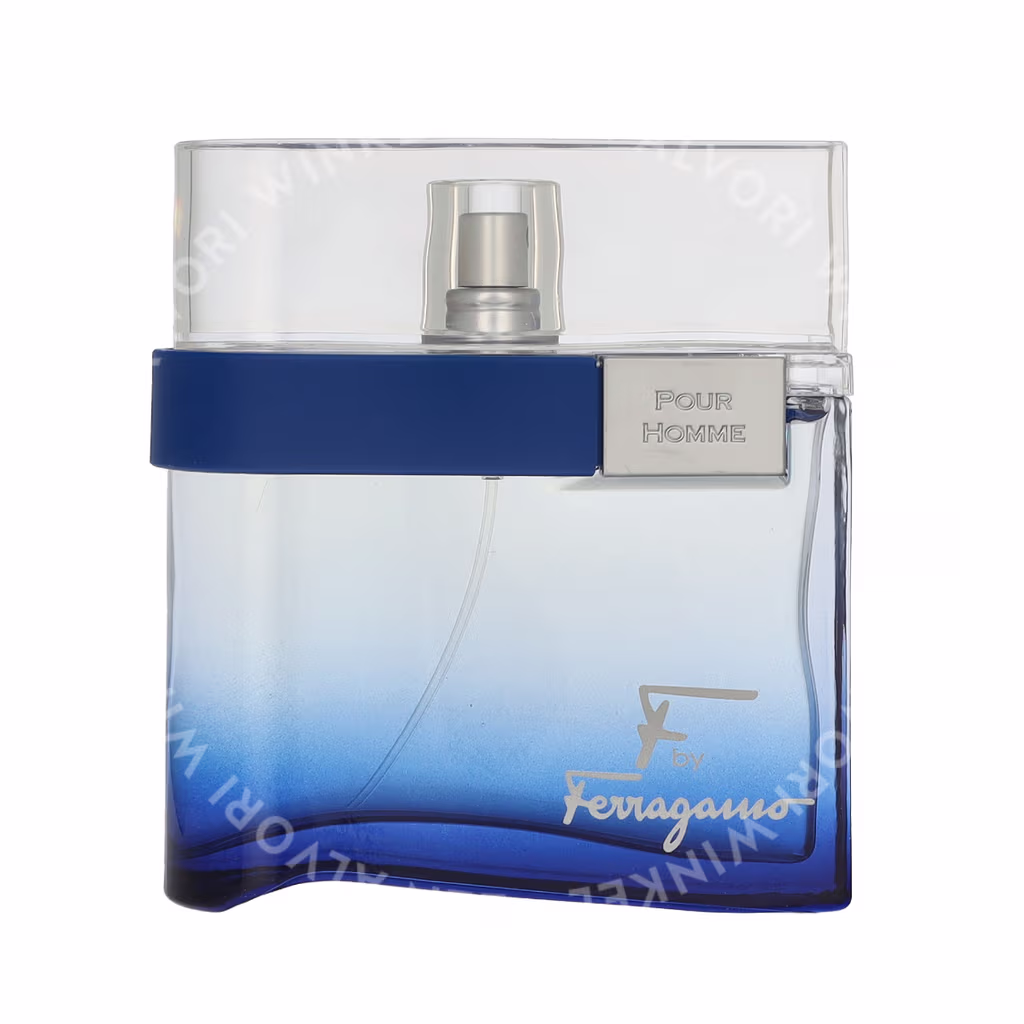 Ferragamo S. Ferragamo F Pour Homme Free Time Edt Spray